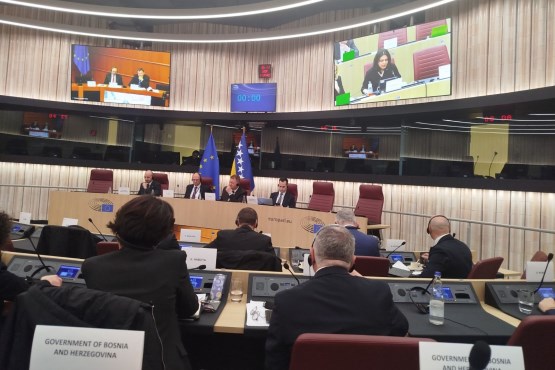 U Strazburu završen 8. sastanak Parlamentarnog odbora za stabilizaciju i pridruživanje između BiH i EU 